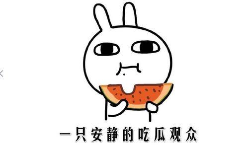 我在吃瓜,一场吃瓜群众的狂欢盛宴